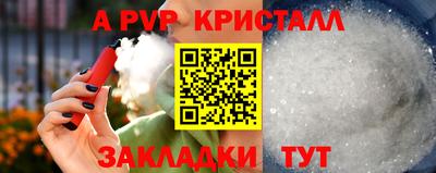 бошки Будённовск