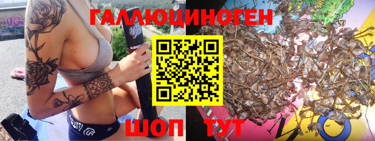 Псилоцибиновые грибы MAGIC MUSHROOMS Партизанск
